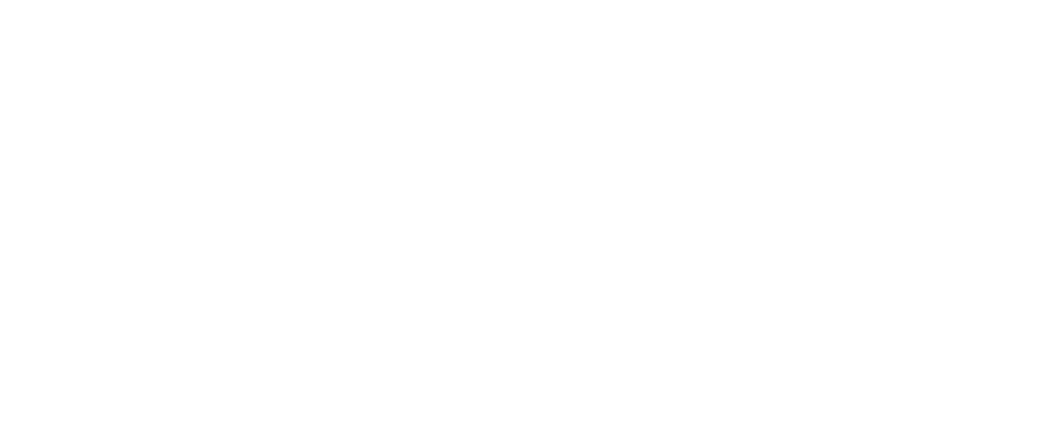 APC LOGO