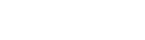 Brocade logo